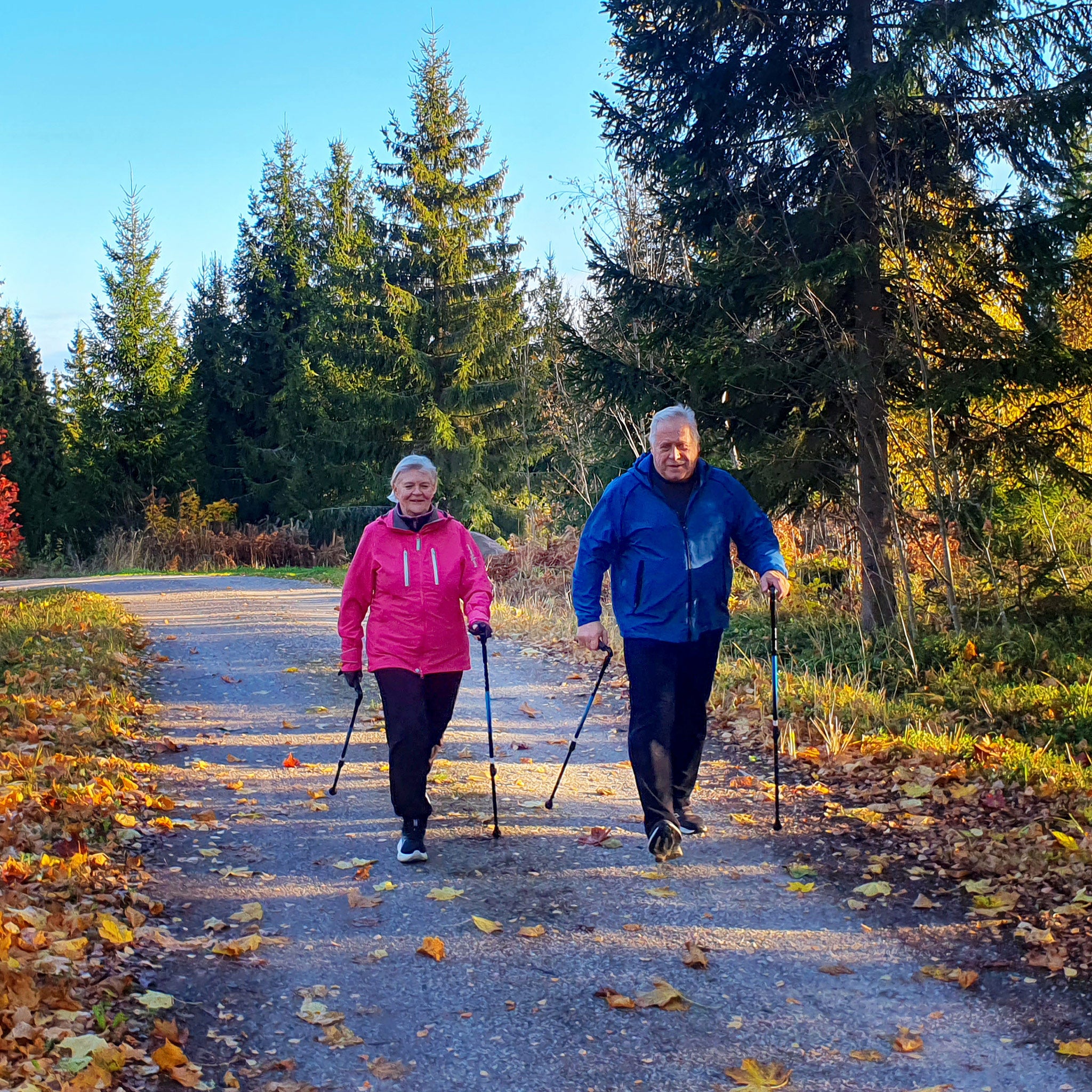 Kaksi kävelijää käyttää Sisu Grip sauvoja metsäpolulla